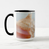 Conch Shell | Florida Mok (Links)