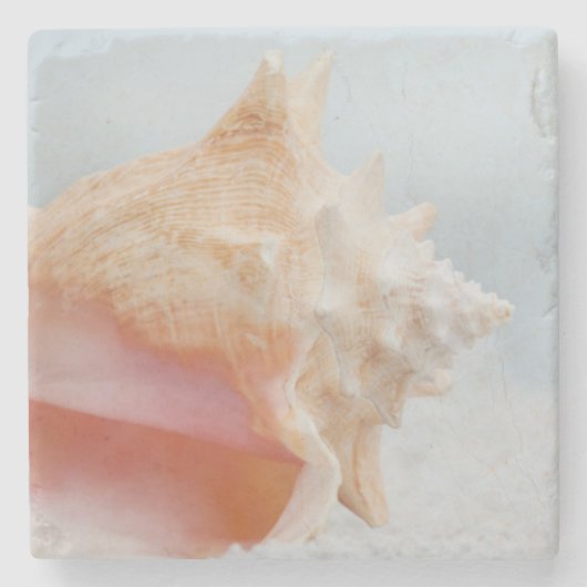 Conch Shell | Florida Stenen Onderzetter (Voorkant)