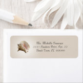 Conch Shell-foto op bruin retourlabel Etiket (Insitu)