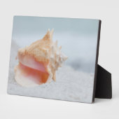 Conch Shell Fotoplaat (Zijkant)