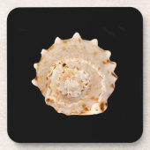 Conch Shell Hard Plastic Onderzetters (Voorkant)