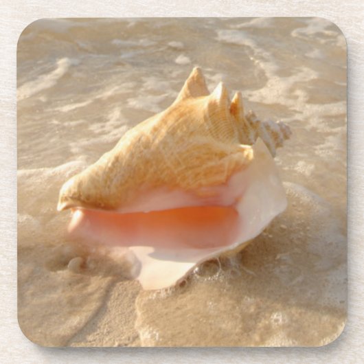 Conch Shell in zand op tropisch strand Bier Onderzetter (Voorkant)