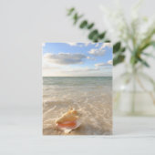 Conch Shell in zand op tropisch strand Briefkaart (Staand voorkant)