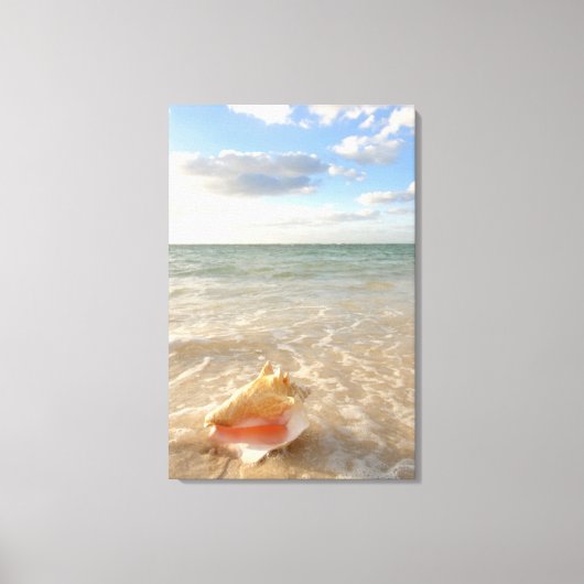 Conch Shell in zand op tropisch strand Canvas Afdruk (Voorkant)