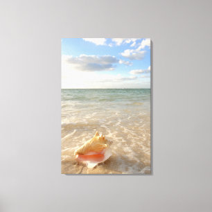 Conch Shell in zand op tropisch strand Canvas Afdruk