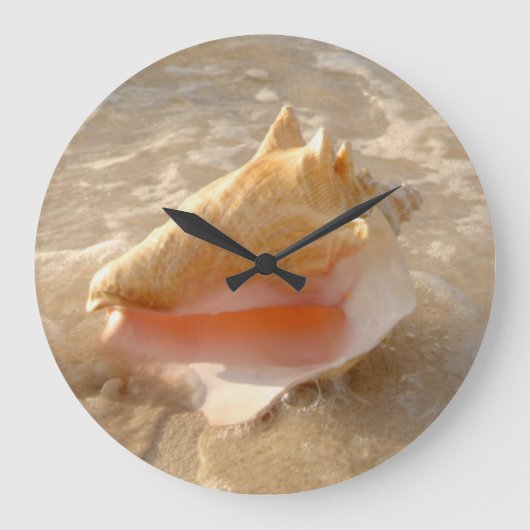 Conch Shell in zand op tropisch strand Grote Klok (Voorkant)