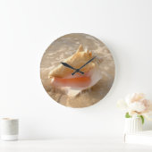 Conch Shell in zand op tropisch strand Grote Klok (Huis)