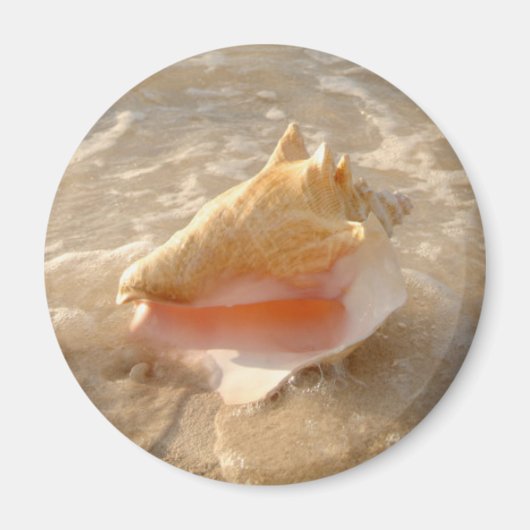Conch Shell in zand op tropisch strand Magneet (Voorkant)