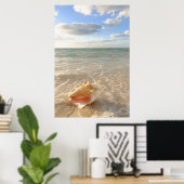 Conch Shell in zand op tropisch strand Poster (Thuiskantoor)