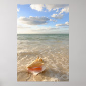 Conch Shell in zand op tropisch strand Poster (Voorkant)