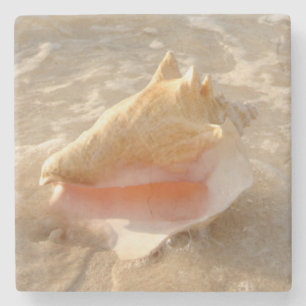 Conch Shell in zand op tropisch strand Stenen Onderzetter