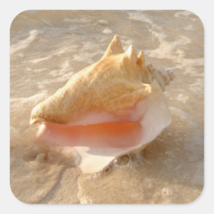 Conch Shell in zand op tropisch strand Vierkante Sticker
