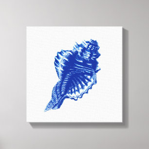 Conch Shell, Indigo Blue en White Canvas Afdruk