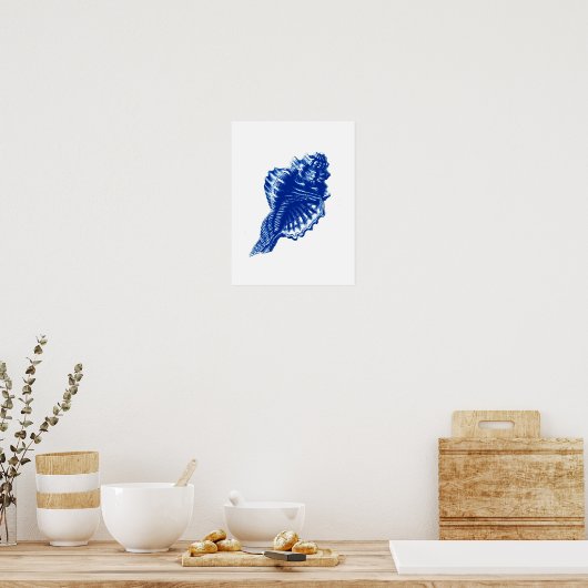 Conch Shell, Indigo Blue en White Poster (Keuken)