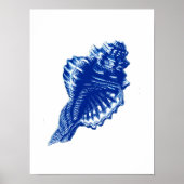 Conch Shell, Indigo Blue en White Poster (Voorkant)