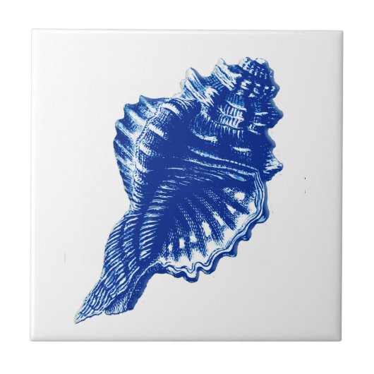 Conch Shell, Indigo Blue en White Tegeltje (Voorkant)