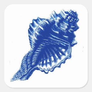 Conch Shell, Indigo Blue en White Vierkante Sticker