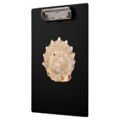 Conch Shell-klembord Klembord (Links)