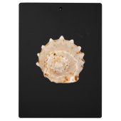 Conch Shell-klembord Klembord (Achterkant)