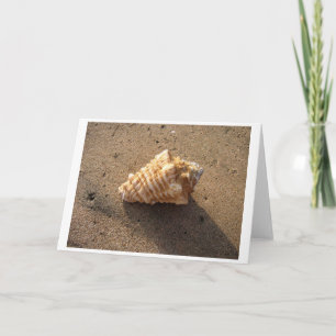 Conch Shell (kleur)-kaart Kaart