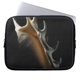 Conch shell laptop sleeve