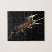 Conch shell legpuzzel (Horizontaal)