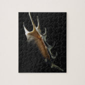 Conch shell legpuzzel (Verticaal)