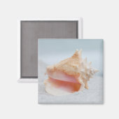Conch Shell Magneet (Voorkant / Achterkant)