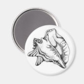 Conch Shell magneet (Voorkant / Achterkant)