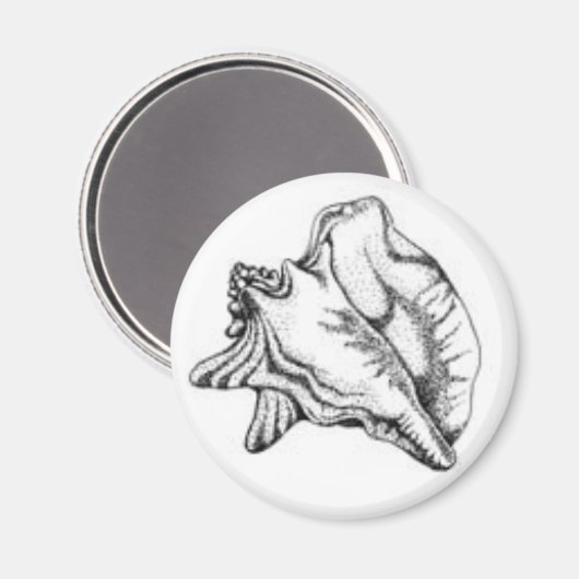 Conch Shell magneet (Voorkant / Achterkant)