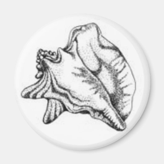 Conch Shell magneet (Voorkant)