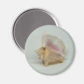 CONCH SHELL magneet (rond) (Voorkant / Achterkant)