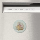CONCH SHELL magneet (rond) (Insitu (Vaatwasser))