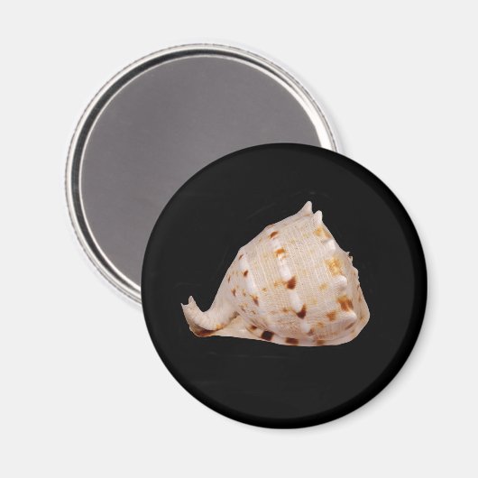 Conch Shell Magnet (Voorkant / Achterkant)