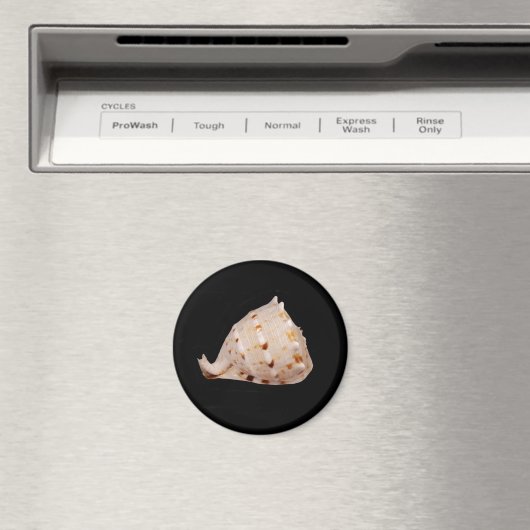Conch Shell Magnet (Insitu (Vaatwasser))
