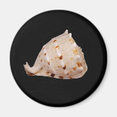 Conch Shell Magnet (Voorkant)