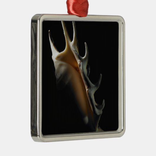 Conch shell metalen ornament (Rechts)