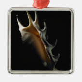 Conch shell metalen ornament (Voorkant)
