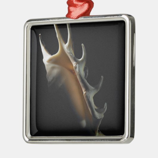 Conch shell metalen ornament (Links)