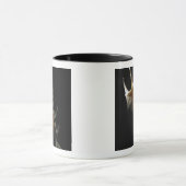 Conch shell mok (Midden)