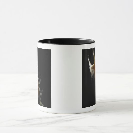 Conch shell mok (Midden)