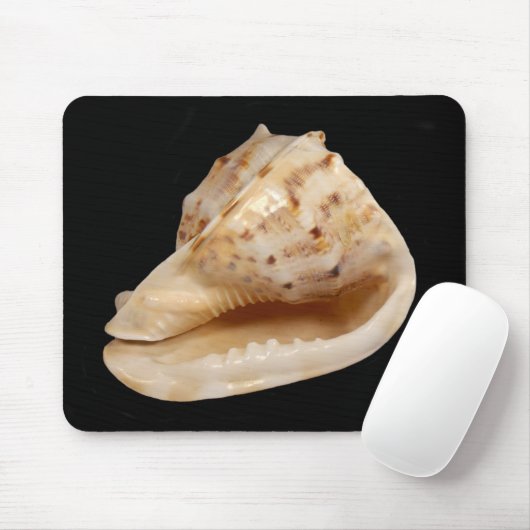 Conch Shell Mouse Mat Muismat (Met muis)