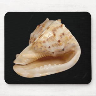Conch Shell Mouse Mat Muismat