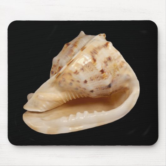 Conch Shell Mouse Mat Muismat (Voorkant)