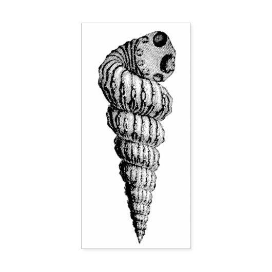 Conch Shell naar rechts Rubber Art Stamp Rubberstempel (Afrduk)