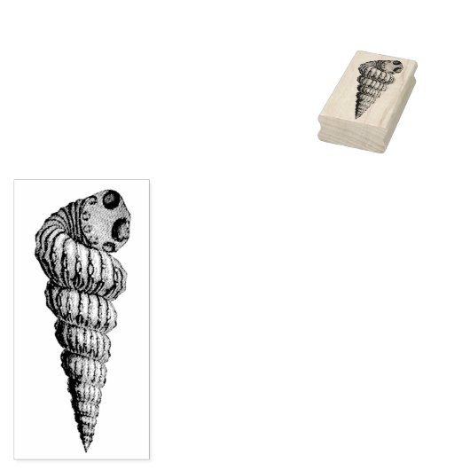 Conch Shell naar rechts Rubber Art Stamp Rubberstempel (Gestempeld)