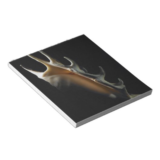 Conch shell notitieblok (Schuin)