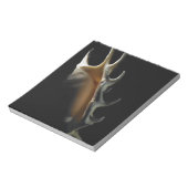 Conch shell notitieblok (Linkerzijde)