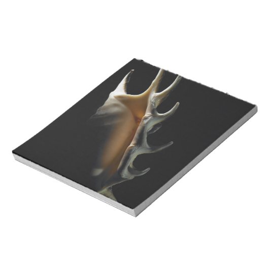 Conch shell notitieblok (Linkerzijde)