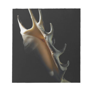 Conch shell notitieblok